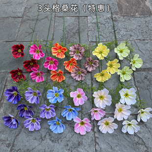 �羳��Ʒ���沨˹�ՏS�� 3�^��ɣ�� ��Y��·���Ҿ�ܛ�b�ٻ����l