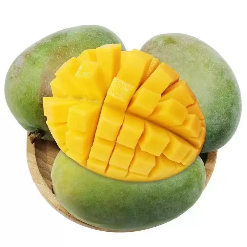 Сычуань Кейт Манго Свежие фрукты Манго Бесплатная доставка Сезонные фрукты Кейт Манго Дропшиппинг
