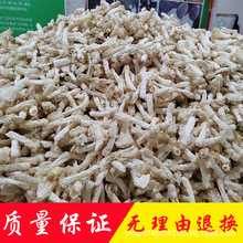 �F�����p�a��ֱ�N���l�t�����p�^�翗�����p��؛���خa��������