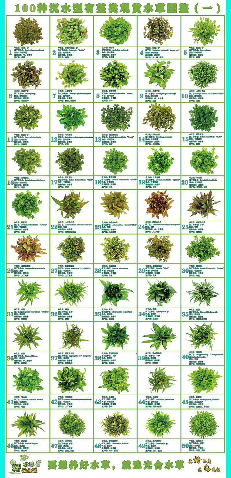 2023详情页六大保_04