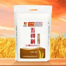 �z�^�Q���������l5kg���]���������������ѩ��С����һ�����l