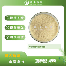 菠萝蜜果粉 喷雾干燥菠萝蜜粉 现货批发 固体饮料烘焙原料