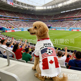 2026年跨境世界杯新款宠物舒适透气狗狗衣服两脚狗短袖