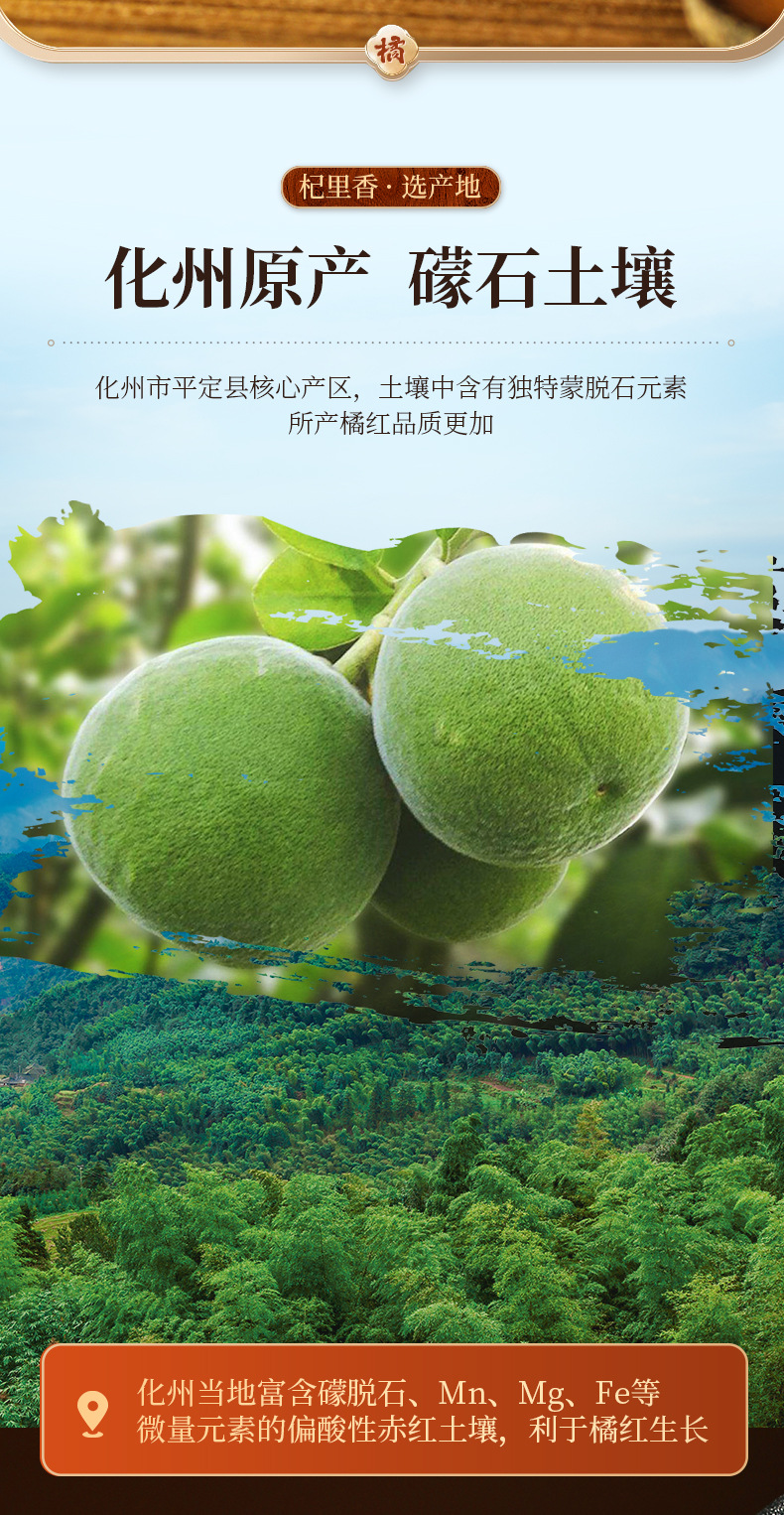 Aged Huazhou Exocarpium Citri Grandis Slices 15 Year Chenpi Herbal Tea 100g Round Tin key features