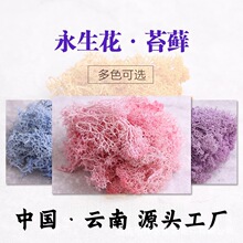 �羳����̦�\�������Z¹�\�o�s�|ֲ���쾰diy���ϰ��Ҿ��b����l