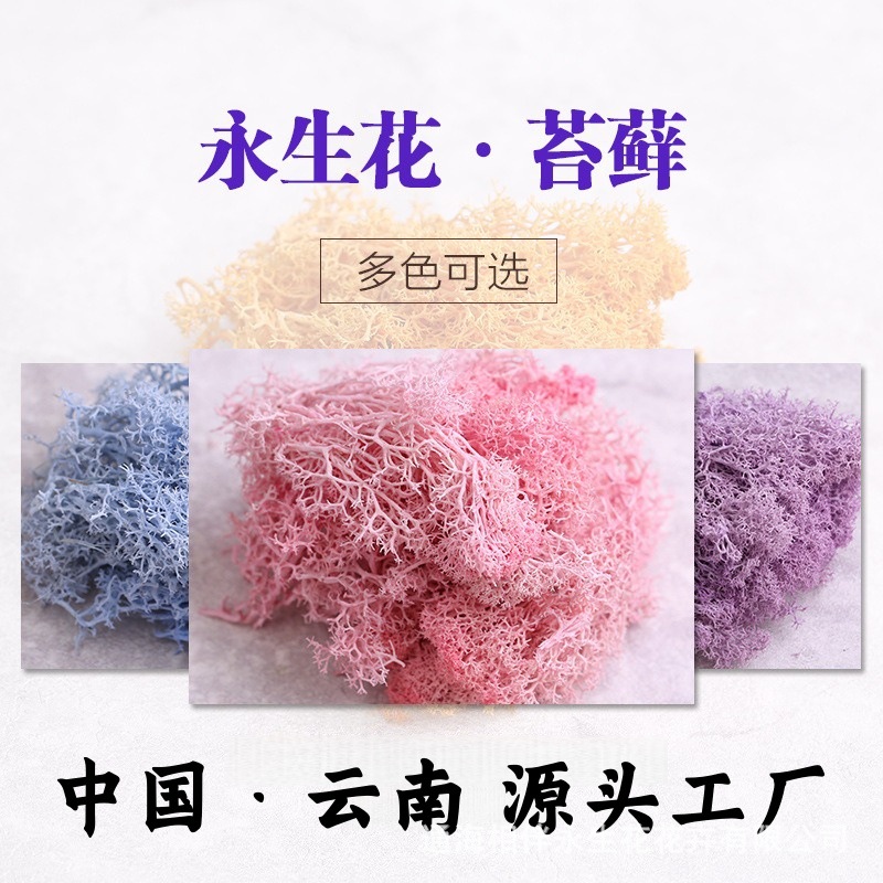 跨境爆款苔藓永生花驯鹿藓无杂质植物造景diy材料包家居装饰批发