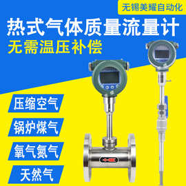 热式气体质量流量计压缩空气氧气氮气天然气插入式管道式