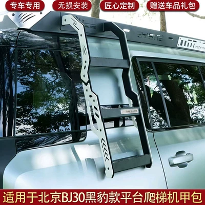 Ladder Mech-Style Modified Roof Luggage | Roof rack