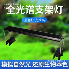 鱼缸LED节能灯高亮照明灯全光谱水草雨林造景USB灯增色自然观赏灯