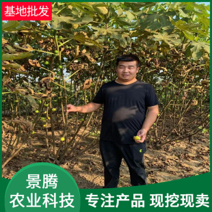 �o�������� ����Y�� �����t ����� ˹������Ʒ�N�o��������