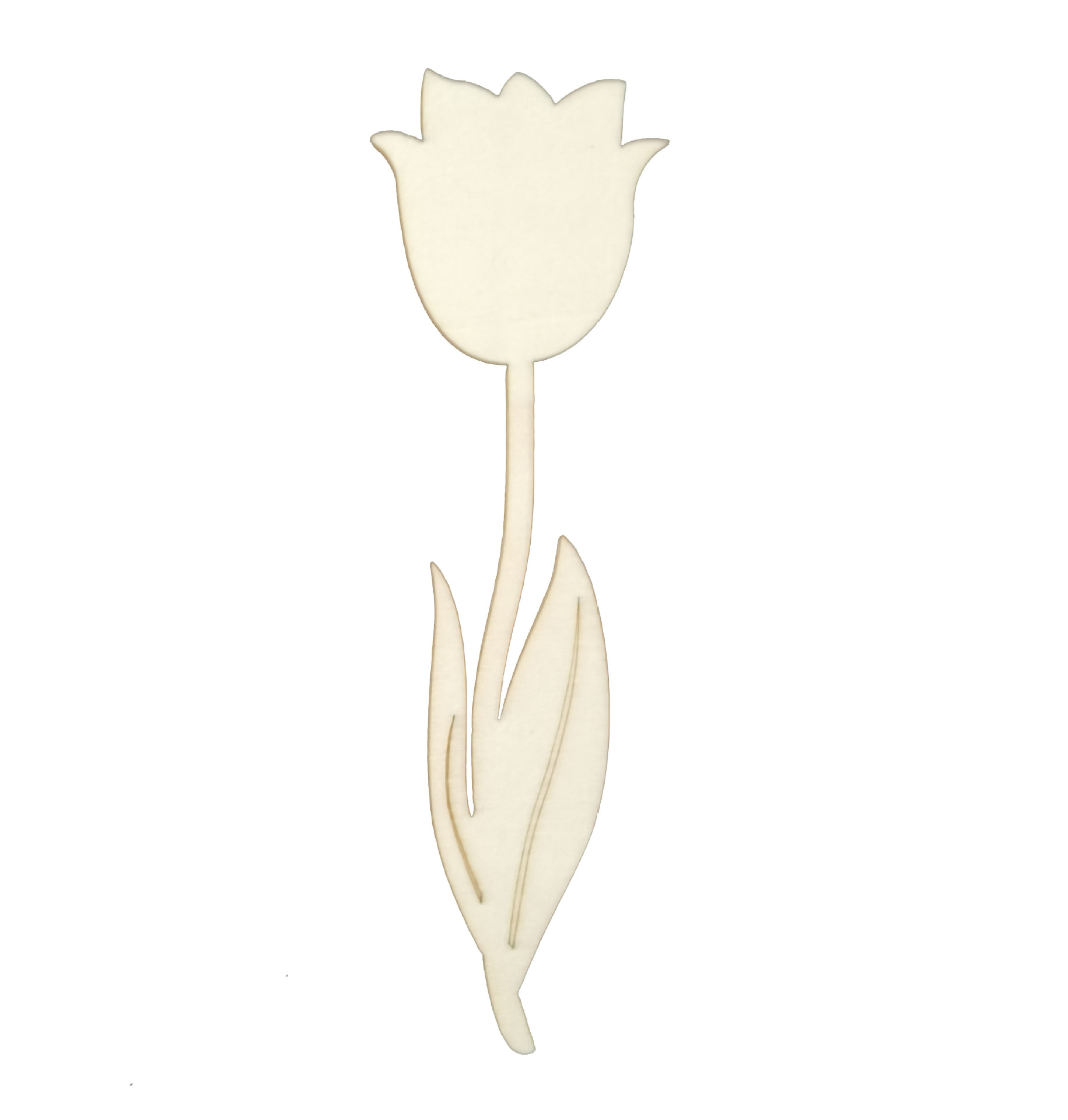 IMG_20220625_151053(1)