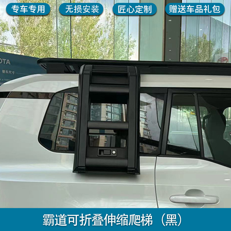 Exterior Kit Tent, Toyota Roof rack - prado-climbing-ladder-black-non-destructive-installation