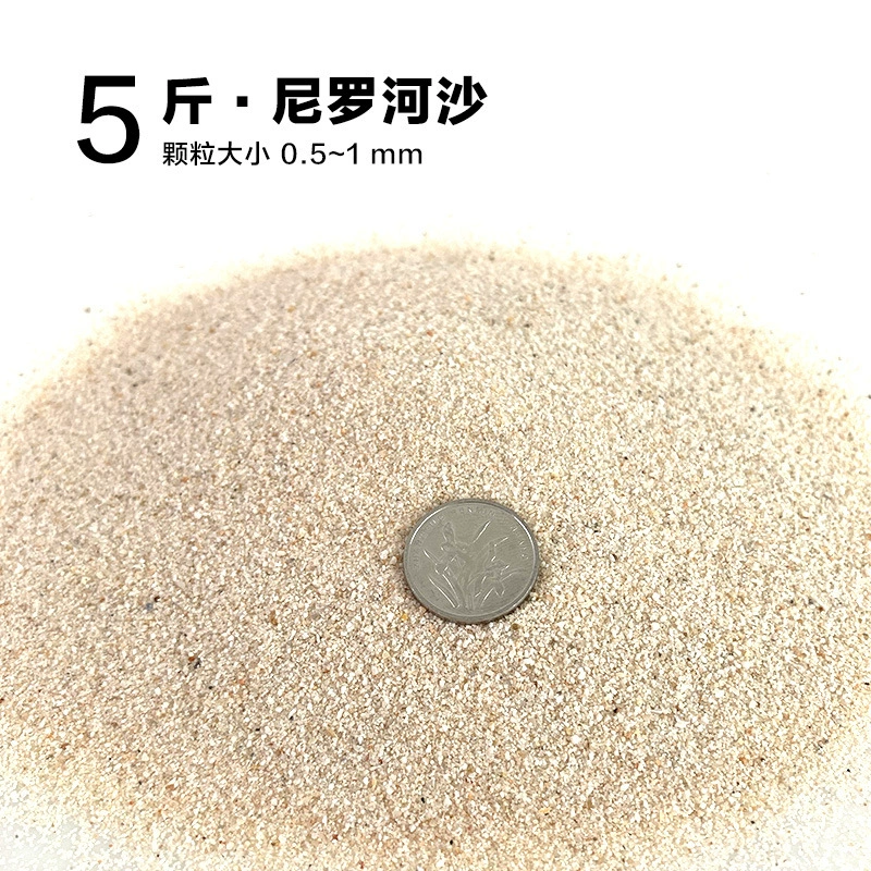 楸肩几搴曠爞閫犳櫙搴曟矙涔岄緹娌虫矙鍖栧