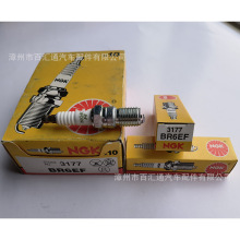 ��ӦNGK,3177.BR6EF.JAPAN.�����ͻ���