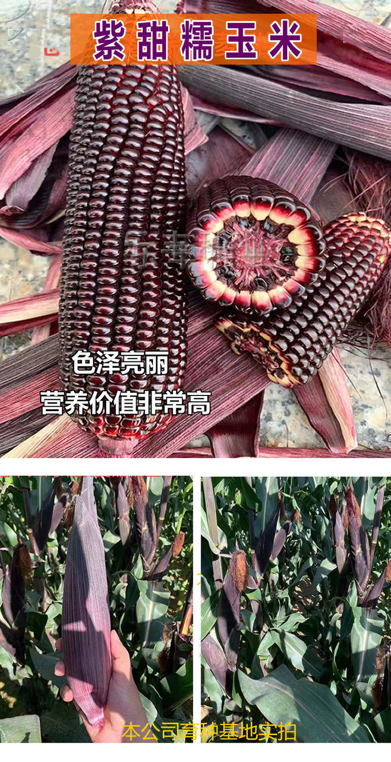 ab9bbf6c7d005dbe8752551d152e47