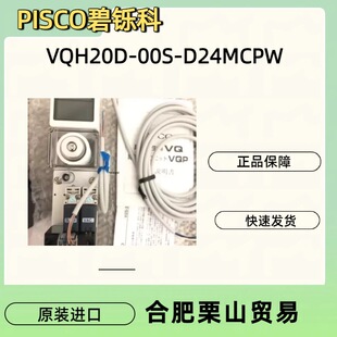 PISCO���p��VQH20D-00S-D24MCPW��հl����