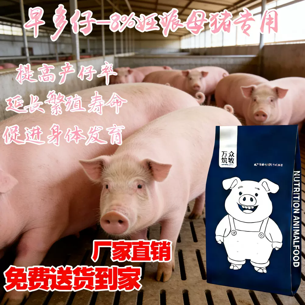 早多仔—8%妊娠母猪专用预混料提高产仔促进发育预混料