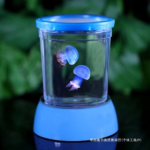 Jellyfish Live Baby Student Dormitory Suitable for Children and Kidsren Domestic Rare Red Moon Lazy Pet Animals