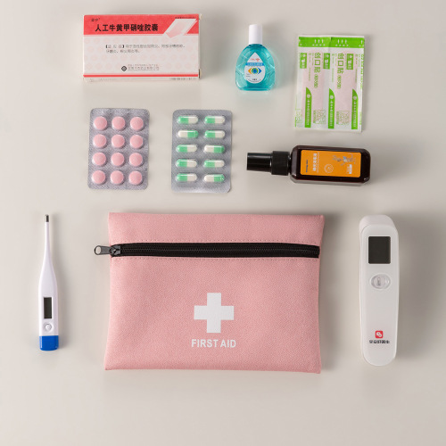 New First-Aid Kit for Home, Travel, Small and Portable Medical Emergency Kit for Outdoors, Pandemic-Proof Medication Storage Bag