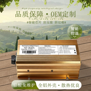 29.4V10A늄ӶѸ܇\܇СAGV300WMͣ