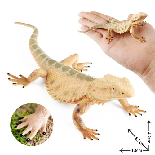 Cross-border solid children's simulation animal toys wild animal model bearded dragon lizard lizard cognitive gift ornaments