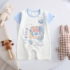 Short climbing sky bear
