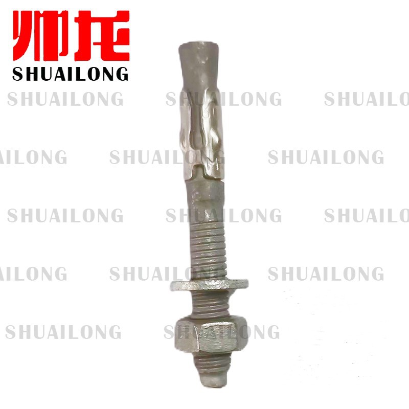 M6热镀锌车修壁虎配不锈钢304环片（HDG M6 wedge anchor)