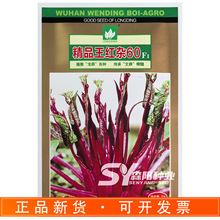 文鼎精品王红杂60红菜苔种子60天早熟耐热高产秋季紫红油菜甜菜心