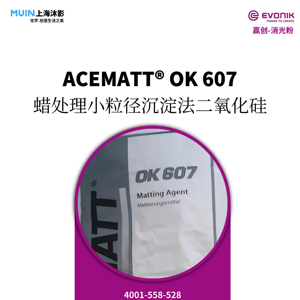 ACEMATT OK 607 消光粉 |赢创 德固赛 小粒径 沉淀法二氧化硅