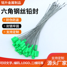 钢丝铅封封条扎带集装箱物流油罐车水电施封锁抽紧式六角钢丝铅封