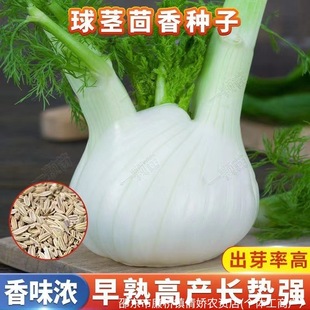 ���o����N�ӽY��С��������������С�~����N���ļ������߲˷N��