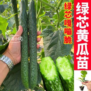 ����Gо�S�������ļ��߮a�G���S�ϷN�ӏ��Ŵ��S��ˮ���S����Ů