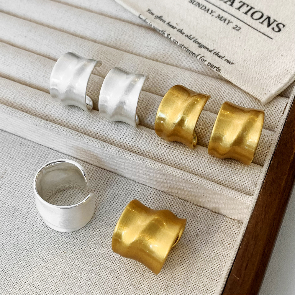 Cross-Border Versatile Fashion Light Luxury High-End Brushed Earrings and Rings Collection Daily Versatile Commuting Personality Earrings for Women