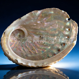 �����U�~����Ȼ�{ɫ�h�S���U�~ؐ���Ϸǰ��y�U�~��100����