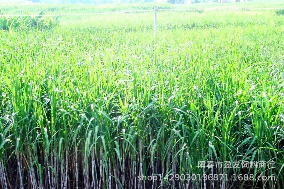 Screenshot_20211126_075107_mh1