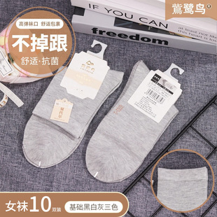 �m��Ů10�p/����ɫ���LͲŮʿ�\�����m10A����������͸�ⶨ���m��