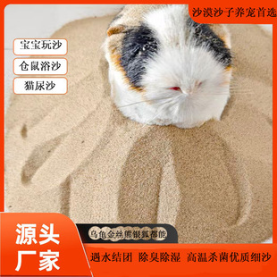 ɳĮɳ���lɳĮɳ��ɳ���Sɳ��ͯ�ʘ�ɳ���ɳ�}��ԡɳ