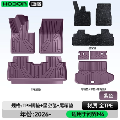 Modelə uyğun ayaqaltı – for Aito M6 Floor Mats - 212t01-wenjie-m6-26-models-package-model-purple-tpe-thickening-black-starry-sky-blanket-trunk-single-cushion-backrest-cushion