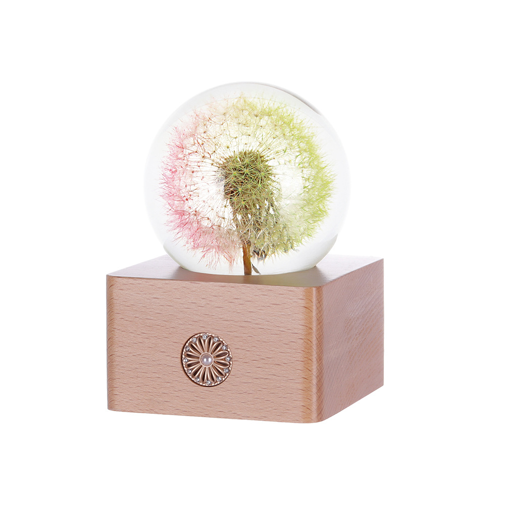 Dandelion Dried Flower Crystal Ball Transparent Resin Crafts Souvenir Practical Gift Night Light Home Decoration