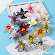 ٻٺС滨߼бcûbûˇ滨