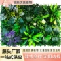 门头室外布置跨境绿植