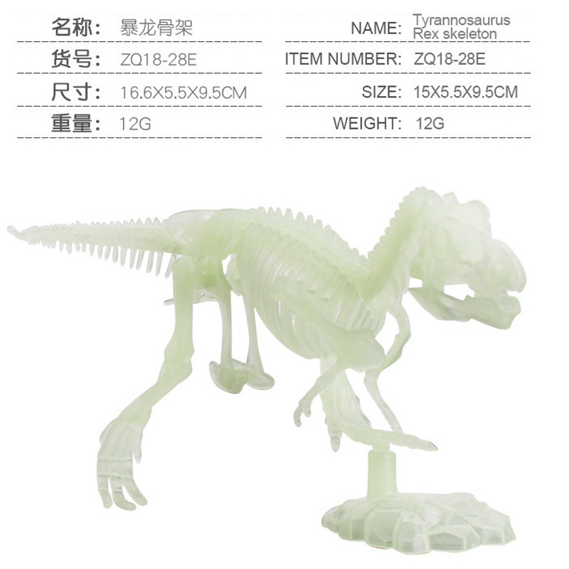 18-28e Tyrannosaurus esqueleto 12g