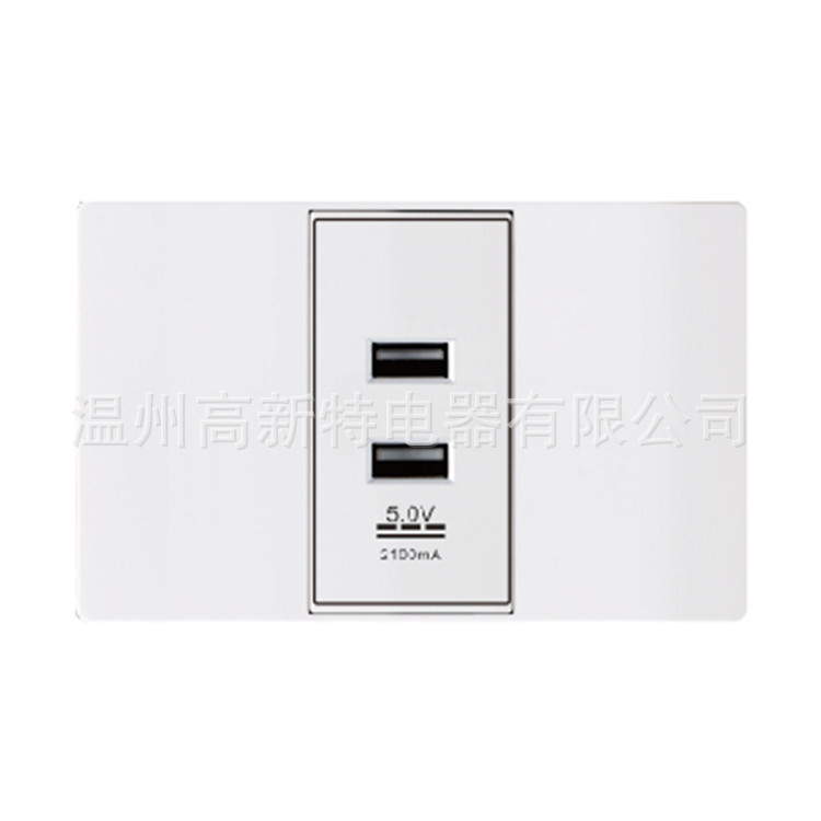 QB0U  二位USB充电插座 2.1A/3.1A外贸插座 USB插座