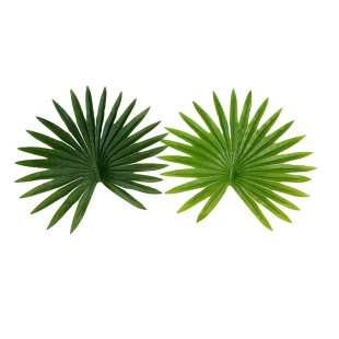 �����ؙ��~���~�����ѿ������ȿ��Ҿӻ�c�b���Gֲˮ���b�