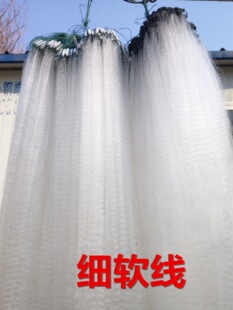 �חl�O�W�ΌӸ��W�O�W0.8��2�׸�50���LС�W�۾W�z�W���~ճ�W��Ʒ