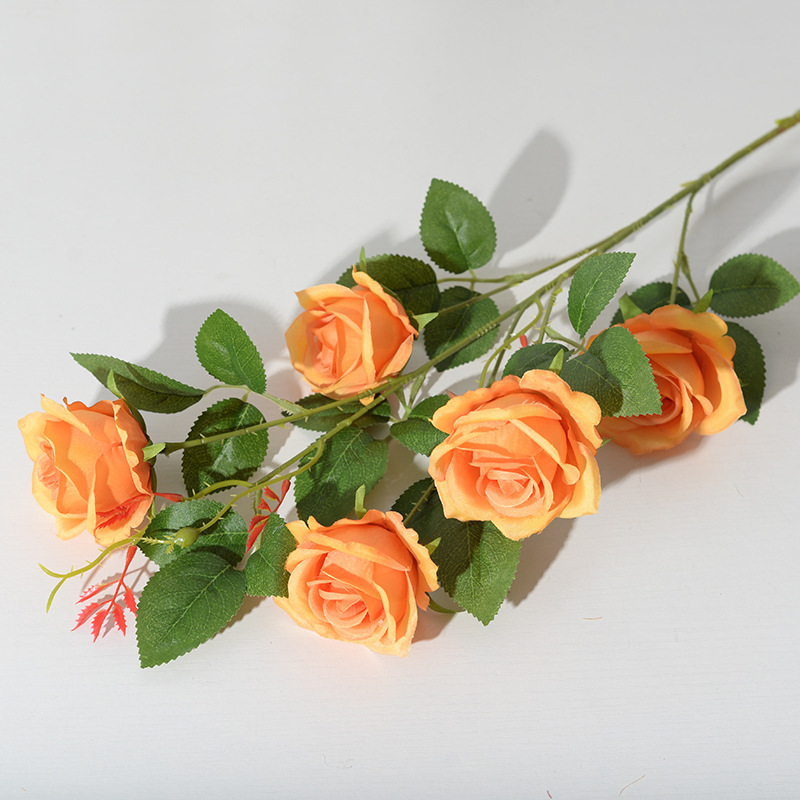 5 cabezas pequeño París naranja