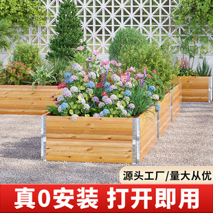 �N�ˌ�����������ľ����ͥԺ�߲˷Nֲ����仨�@��������N����