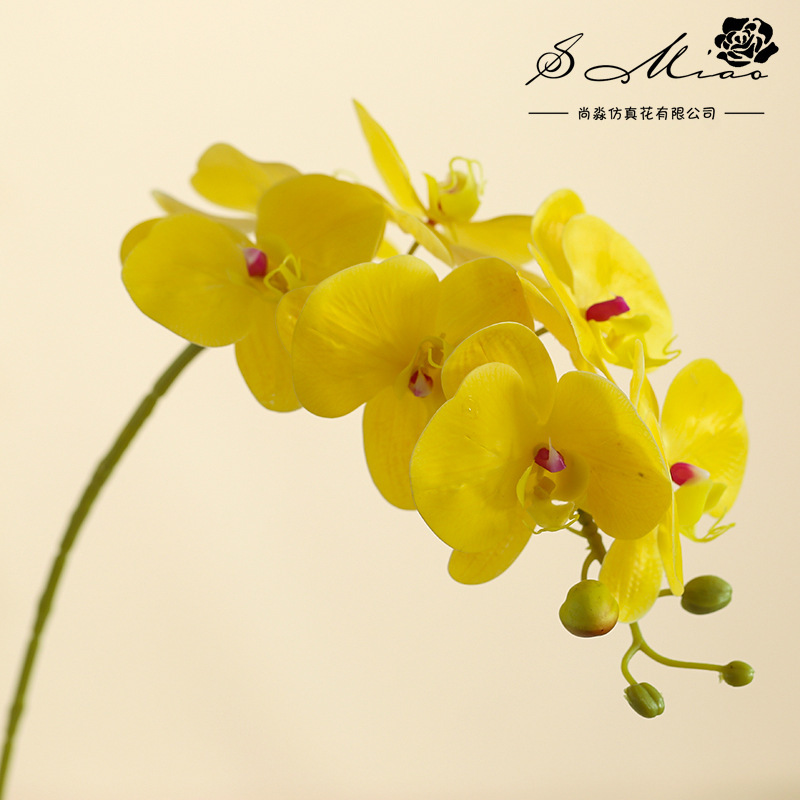 Da7 flores mariposa orquídea bonsai imitación de flores fabricantes directamente para decoración del hogar imitación de flores falsas en maceta ornamentos verdes image 13