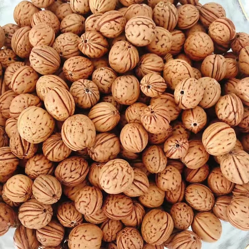 微信图片_20240601235930