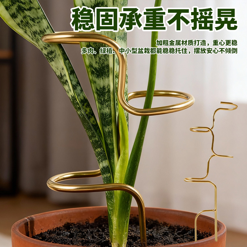 植物支撑架龟背竹防倒伏盆栽铁线莲支撑杆固定神器爬藤花架收拢架